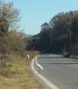 Backstage from the making of the film Prima Materia, by Vasilis Patmios Karouk, 2016