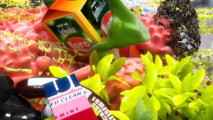 FACTITIOUS IMPRINTS, by Eva Papamargariti, 2016. Courtesy Polygreen Culture & Art Initiative