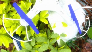 FACTITIOUS IMPRINTS, by Eva Papamargariti, 2016. Courtesy Polyeco Contemporary Art Initiative