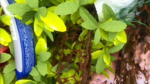 FACTITIOUS IMPRINTS, by Eva Papamargariti, 2016. Courtesy Polyeco Contemporary Art Initiative